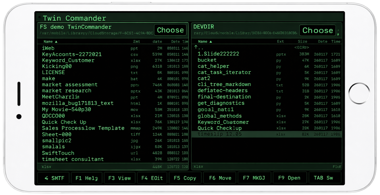 Twin Commander on iPhone
